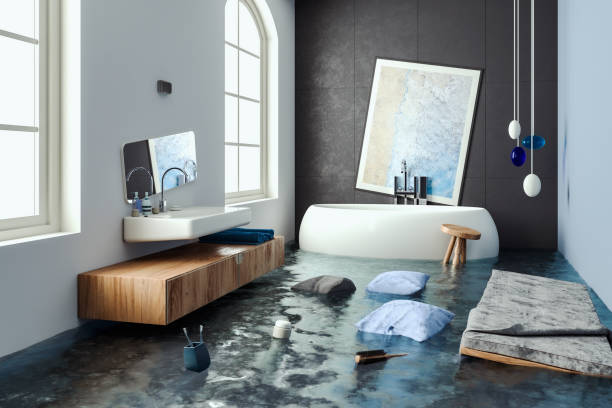  Timonium, MD Water damage restoration Pros