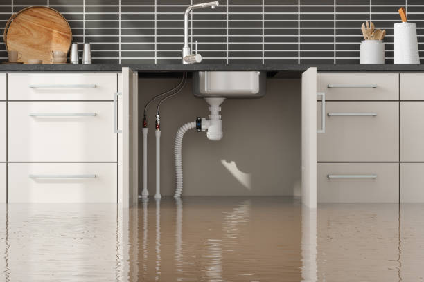 Best 24/7 water damage repair  in Timonium, MD