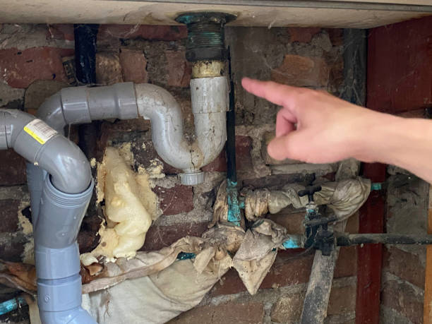 Best 24-hour water damage restoration  in Timonium, MD