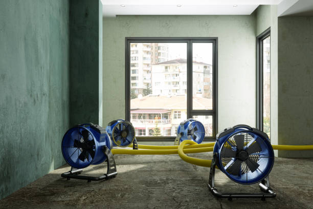 Best Basement water damage restoration  in Timonium, MD