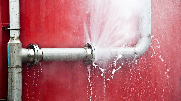 Best Mold removal after water damage  in Timonium, MD